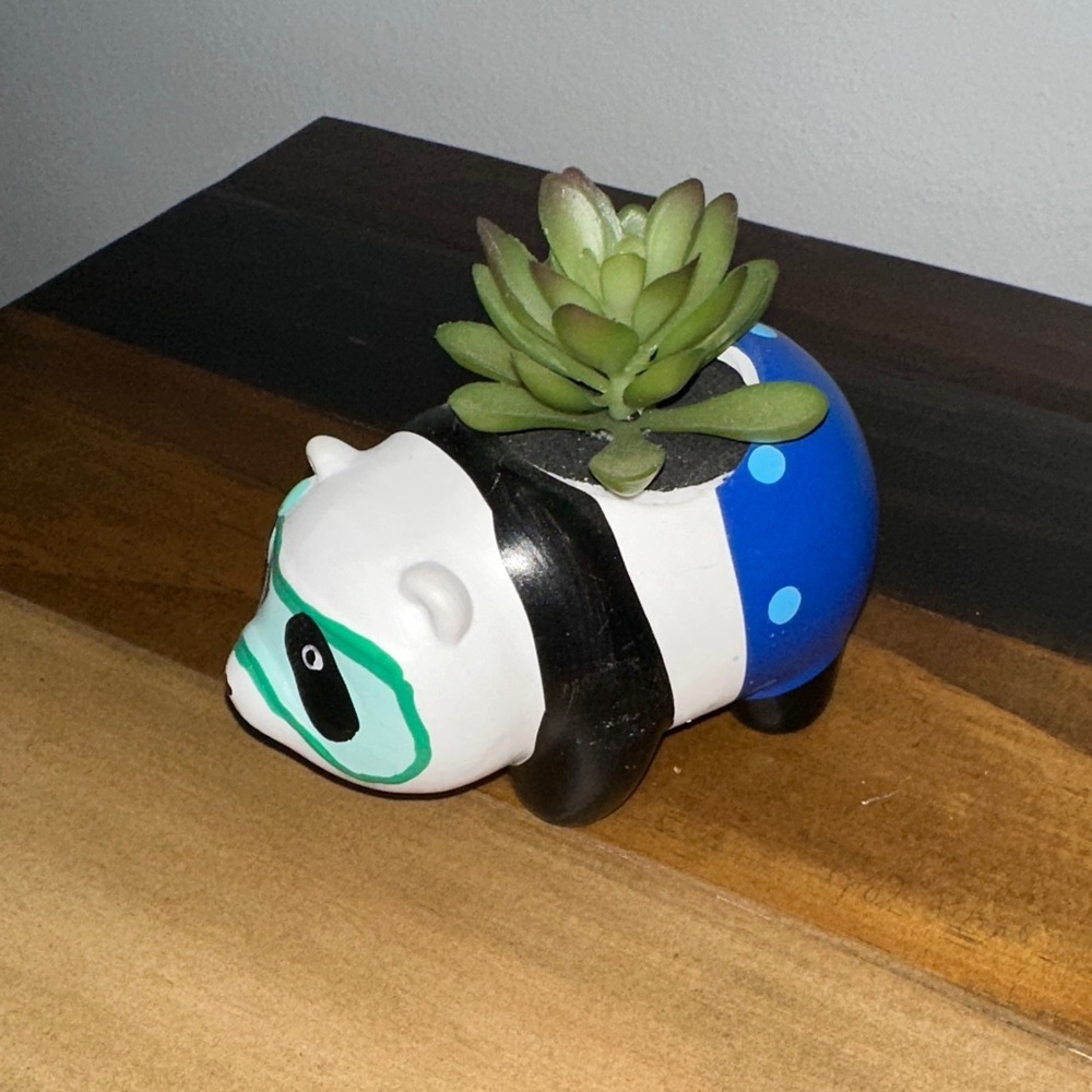 LIMITED TIME $5 ITEM!! Panda Succulent Planter - Black, White, Blue